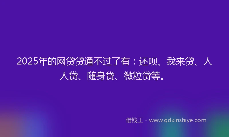 2025年的网贷贷通不过了有：还呗、我来贷、人人贷、随身贷、微粒贷等。