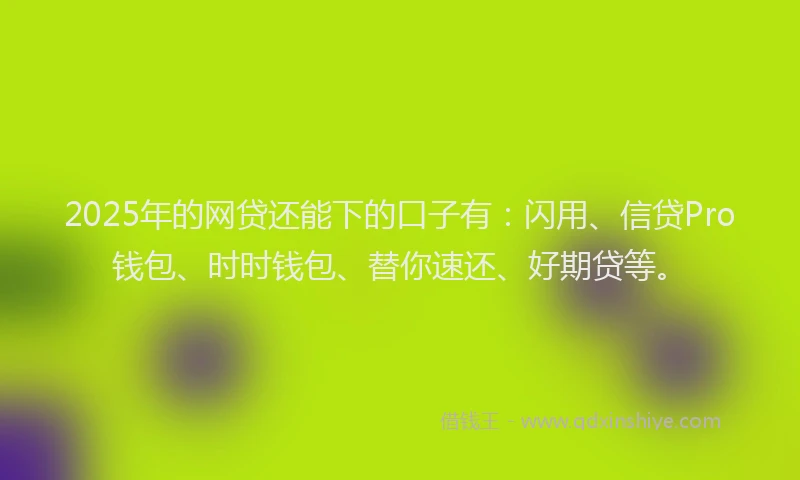 2025年的网贷还能下的口子有：闪用、信贷Pro钱包、时时钱包、替你速还、好期贷等。