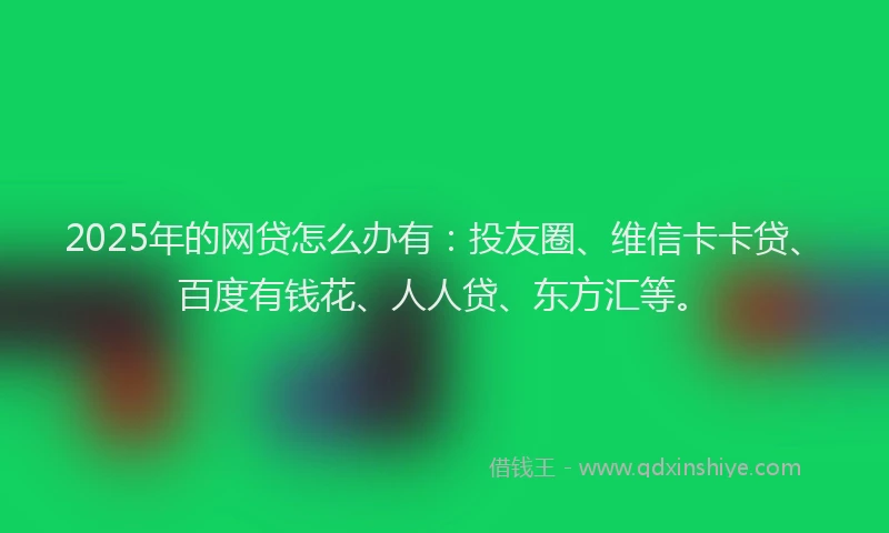 2025年的网贷怎么办有：投友圈、维信卡卡贷、百度有钱花、人人贷、东方汇等。