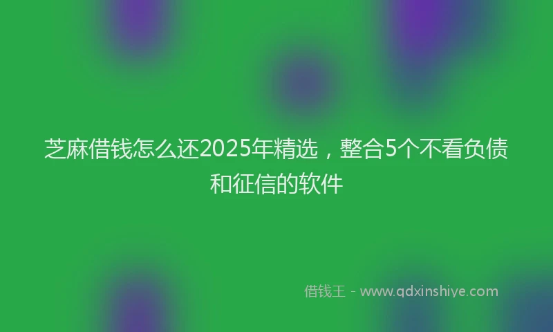 芝麻借钱怎么还2025年精选，整合5个不看负债和征信的软件