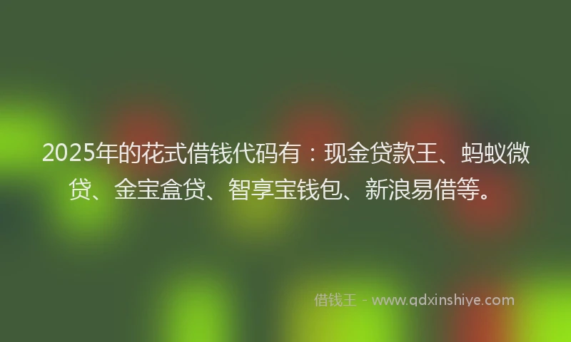 2025年的花式借钱代码有：现金贷款王、蚂蚁微贷、金宝盒贷、智享宝钱包、新浪易借等。