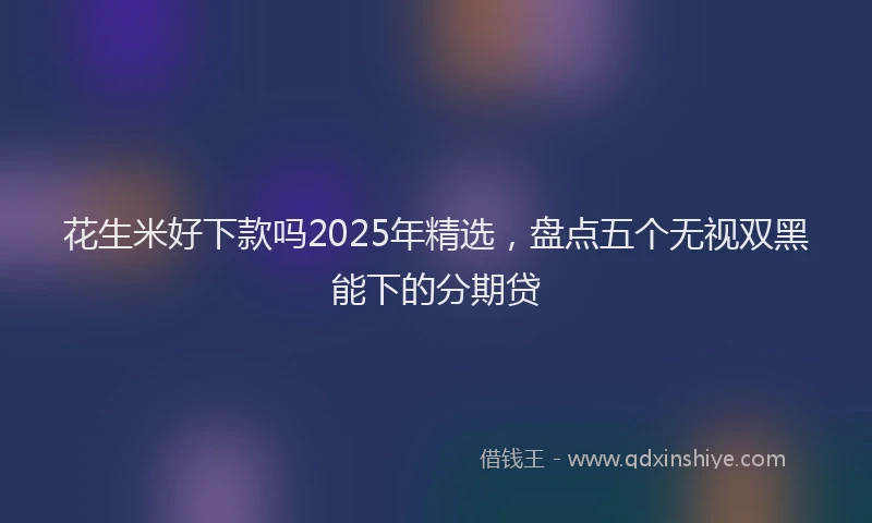 花生米好下款吗2025年精选，盘点五个无视双黑能下的分期贷