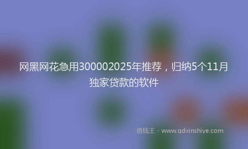 网黑网花急用300002025年推荐，归纳5个11月独家贷款的软件