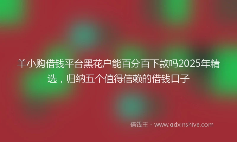 羊小购借钱平台黑花户能百分百下款吗2025年精选，归纳五个值得信赖的借钱口子