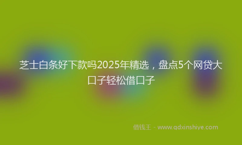 芝士白条好下款吗2025年精选，盘点5个网贷大口子轻松借口子