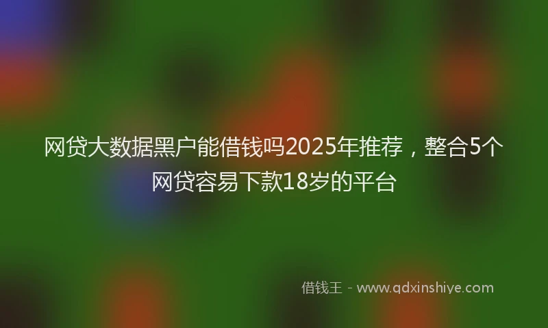 网贷大数据黑户能借钱吗2025年推荐，整合5个网贷容易下款18岁的平台