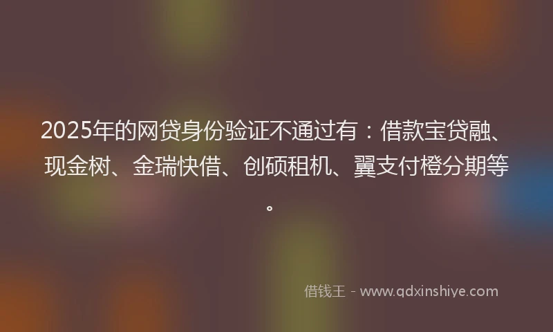 2025年的网贷身份验证不通过有：借款宝贷融、现金树、金瑞快借、创硕租机、翼支付橙分期等。