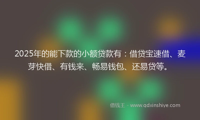 2025年的能下款的小额贷款有：借贷宝速借、麦芽快借、有钱来、畅易钱包、还易贷等。