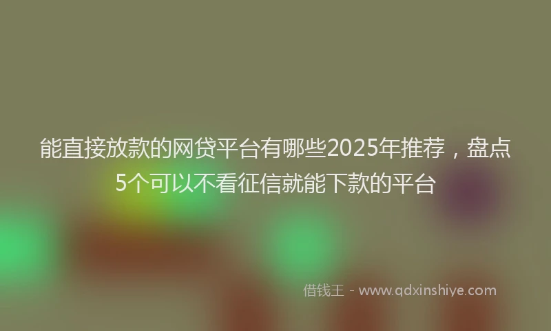 能直接放款的网贷平台有哪些2025年推荐，盘点5个可以不看征信就能下款的平台