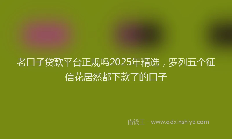 老口子贷款平台正规吗2025年精选，罗列五个征信花居然都下款了的口子