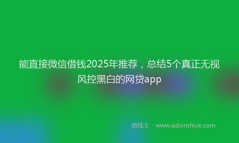 能直接微信借钱2025年推荐，总结5个真正无视风控黑白的网贷app