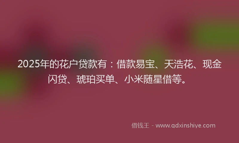 2025年的花户贷款有：借款易宝、天浩花、现金闪贷、琥珀买单、小米随星借等。