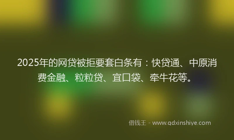 2025年的网贷被拒要套白条有：快贷通、中原消费金融、粒粒贷、宜口袋、牵牛花等。