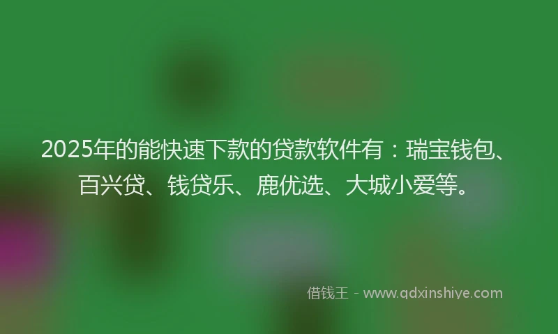 2025年的能快速下款的贷款软件有：瑞宝钱包、百兴贷、钱贷乐、鹿优选、大城小爱等。