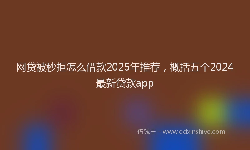 网贷被秒拒怎么借款2025年推荐，概括五个2024最新贷款app
