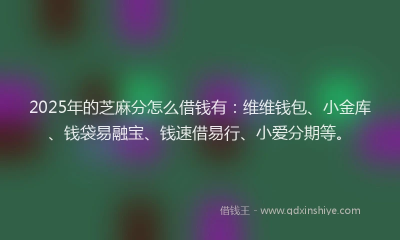 2025年的芝麻分怎么借钱有：维维钱包、小金库、钱袋易融宝、钱速借易行、小爱分期等。