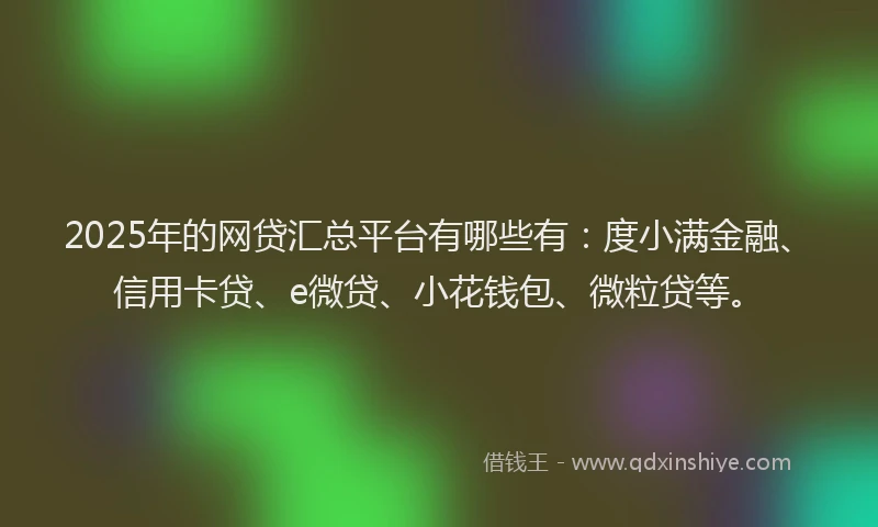 2025年的网贷汇总平台有哪些有：度小满金融、信用卡贷、e微贷、小花钱包、微粒贷等。