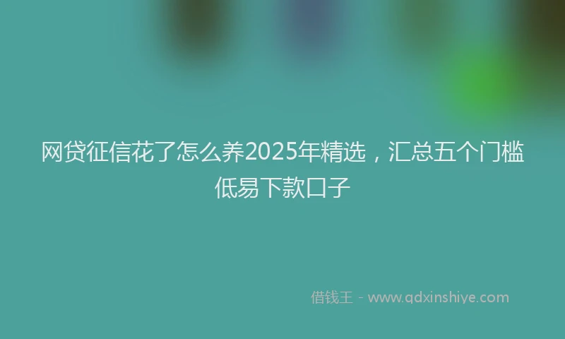 网贷征信花了怎么养2025年精选，汇总五个门槛低易下款口子