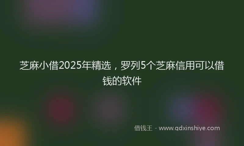 芝麻小借2025年精选，罗列5个芝麻信用可以借钱的软件