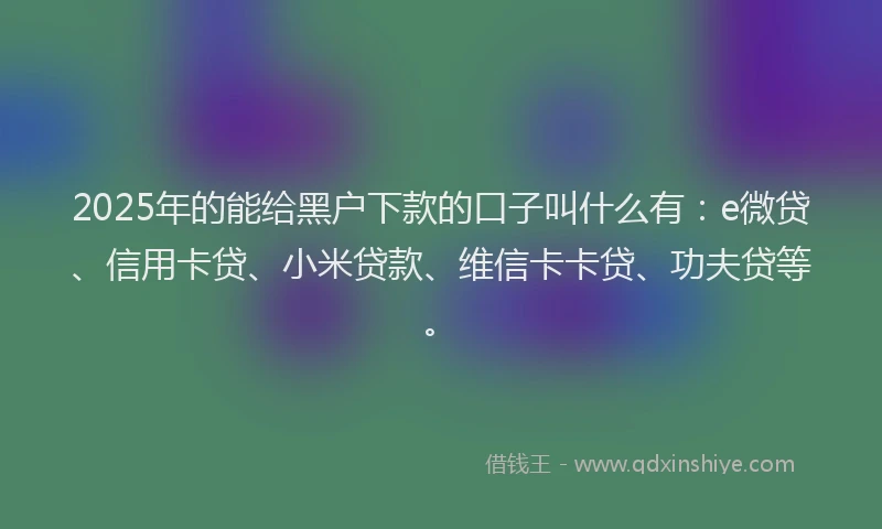 2025年的能给黑户下款的口子叫什么有：e微贷、信用卡贷、小米贷款、维信卡卡贷、功夫贷等。