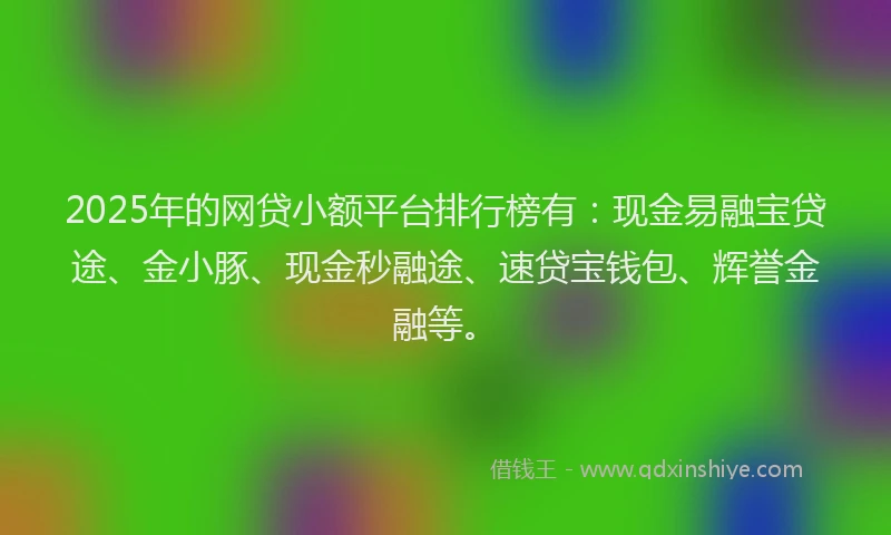 2025年的网贷小额平台排行榜有：现金易融宝贷途、金小豚、现金秒融途、速贷宝钱包、辉誉金融等。