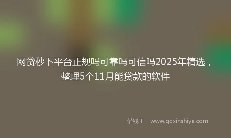 网贷秒下平台正规吗可靠吗可信吗2025年精选，整理5个11月能贷款的软件