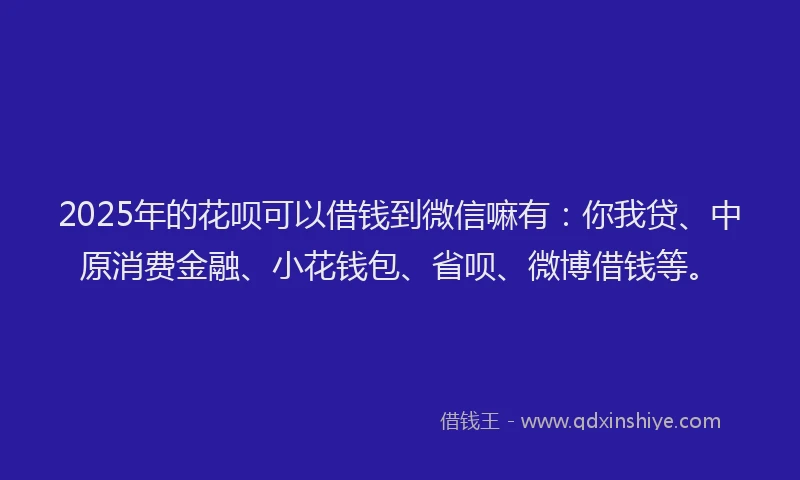 2025年的花呗可以借钱到微信嘛有：你我贷、中原消费金融、小花钱包、省呗、微博借钱等。