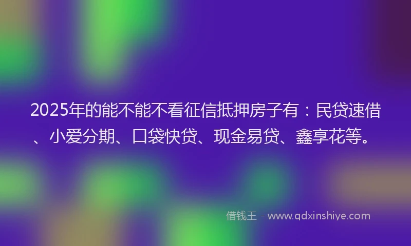 2025年的能不能不看征信抵押房子有：民贷速借、小爱分期、口袋快贷、现金易贷、鑫享花等。