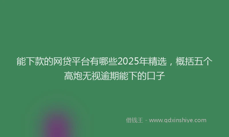 能下款的网贷平台有哪些2025年精选，概括五个高炮无视逾期能下的口子
