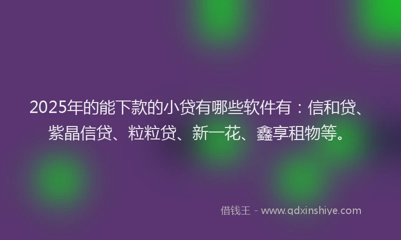 2025年的能下款的小贷有哪些软件有：信和贷、紫晶信贷、粒粒贷、新一花、鑫享租物等。