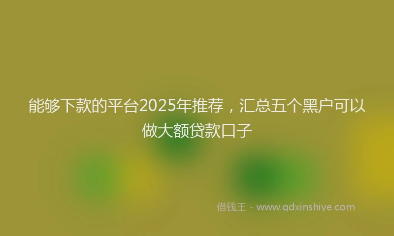能够下款的平台2025年推荐，汇总五个黑户可以做大额贷款口子