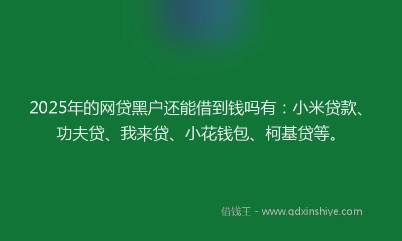 2025年的网贷黑户还能借到钱吗有：小米贷款、功夫贷、我来贷、小花钱包、柯基贷等。