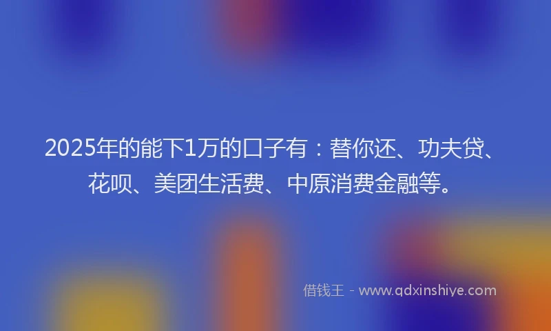 2025年的能下1万的口子有：替你还、功夫贷、花呗、美团生活费、中原消费金融等。