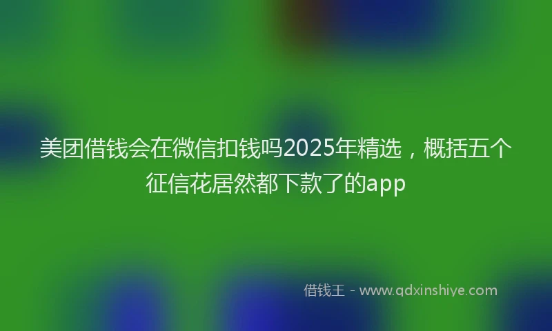 美团借钱会在微信扣钱吗2025年精选，概括五个征信花居然都下款了的app