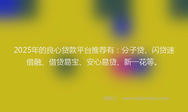 2025年的良心贷款平台推荐有：分子贷、闪贷速借融、借贷易宝、安心易贷、新一花等。