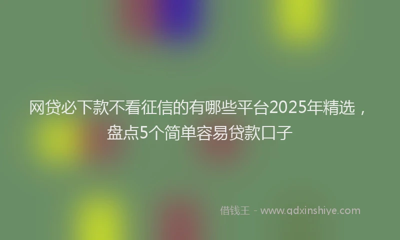 网贷必下款不看征信的有哪些平台2025年精选，盘点5个简单容易贷款口子