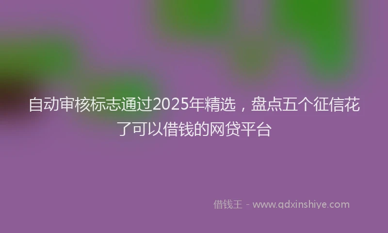 自动审核标志通过2025年精选，盘点五个征信花了可以借钱的网贷平台