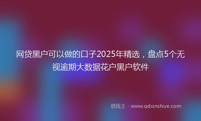 网贷黑户可以做的口子2025年精选，盘点5个无视逾期大数据花户黑户软件