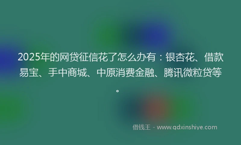 2025年的网贷征信花了怎么办有：银杏花、借款易宝、手中商城、中原消费金融、腾讯微粒贷等。