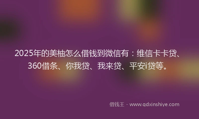 2025年的美柚怎么借钱到微信有：维信卡卡贷、360借条、你我贷、我来贷、平安i贷等。