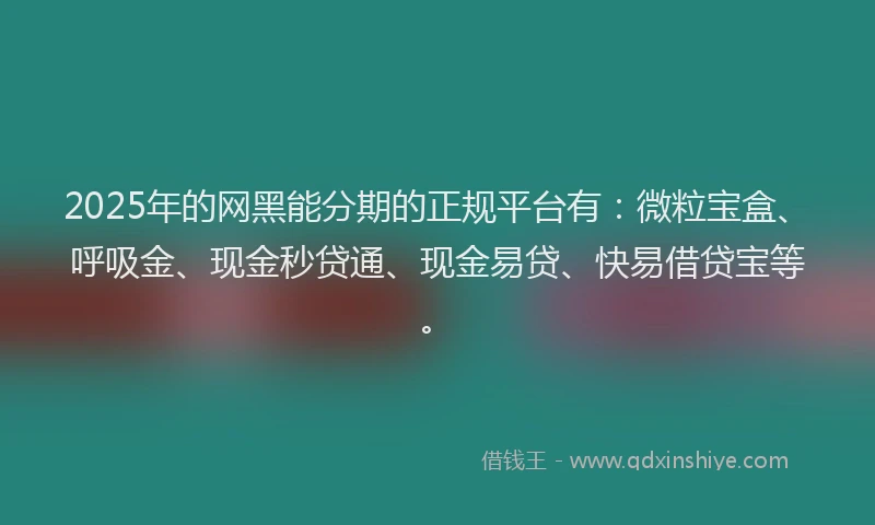 2025年的网黑能分期的正规平台有：微粒宝盒、呼吸金、现金秒贷通、现金易贷、快易借贷宝等。