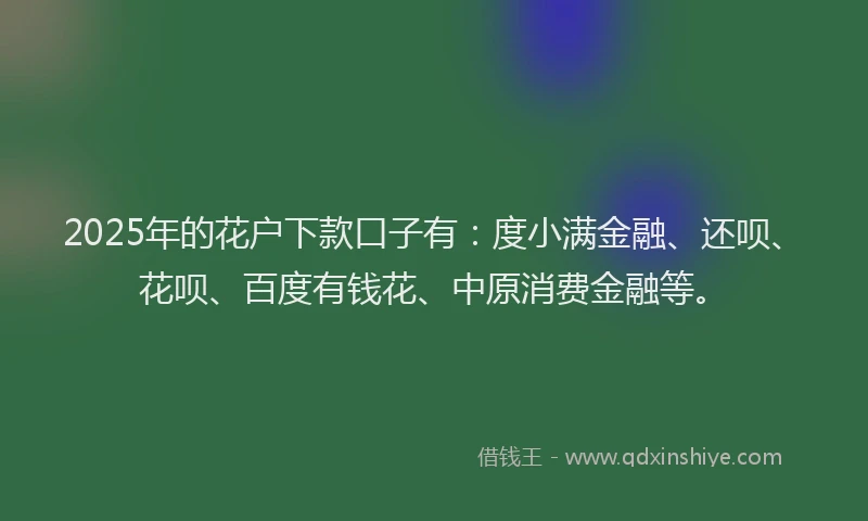 2025年的花户下款口子有：度小满金融、还呗、花呗、百度有钱花、中原消费金融等。