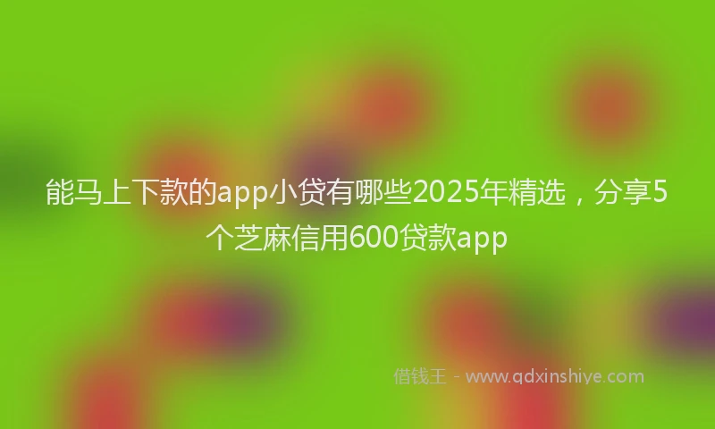 能马上下款的app小贷有哪些2025年精选，分享5个芝麻信用600贷款app