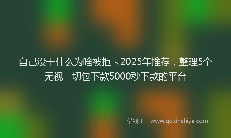 自己没干什么为啥被拒卡2025年推荐，整理5个无视一切包下款5000秒下款的平台