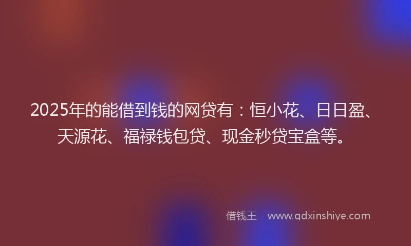 2025年的能借到钱的网贷有：恒小花、日日盈、天源花、福禄钱包贷、现金秒贷宝盒等。