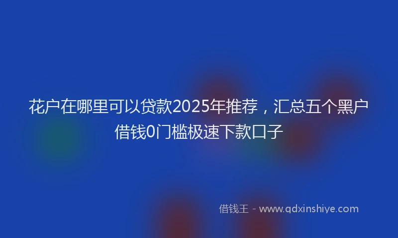 花户在哪里可以贷款2025年推荐，汇总五个黑户借钱0门槛极速下款口子