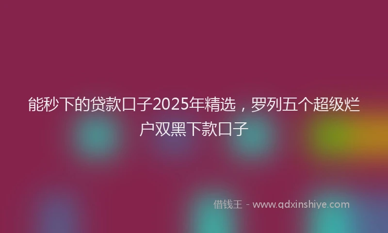 能秒下的贷款口子2025年精选，罗列五个超级烂户双黑下款口子