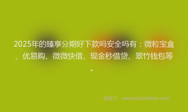 2025年的臻享分期好下款吗安全吗有：微粒宝盒、优易购、微微快借、现金秒借贷、翠竹钱包等。