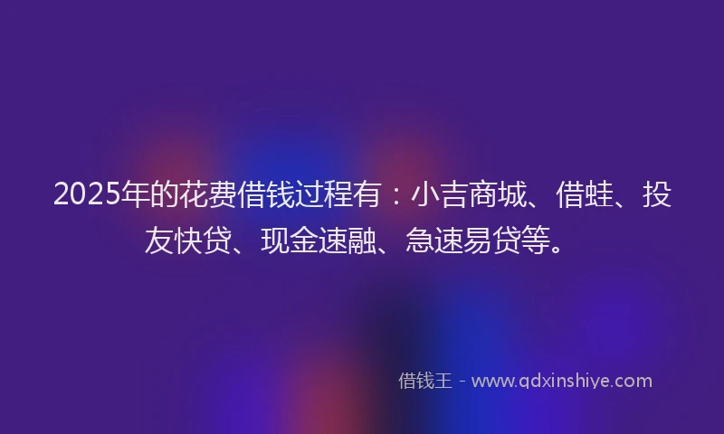 2025年的花费借钱过程有：小吉商城、借蛙、投友快贷、现金速融、急速易贷等。
