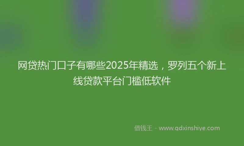 网贷热门口子有哪些2025年精选，罗列五个新上线贷款平台门槛低软件